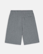 Charger l'image dans la galerie, DICKIES MAPLETON SHORT COTON Gris