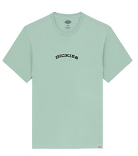 Charger l'image dans la galerie, DICKIES TEE SHIRT IMPRIME DOS Vert