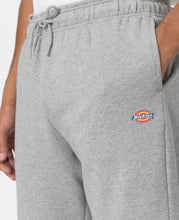 Charger l'image dans la galerie, DICKIES MAPLETON SHORT COTON Gris