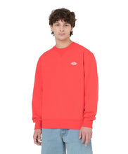 Charger l'image dans la galerie, DICKIES SUMMERDAL SWEAT Orange