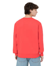 Charger l'image dans la galerie, DICKIES SUMMERDAL SWEAT Orange