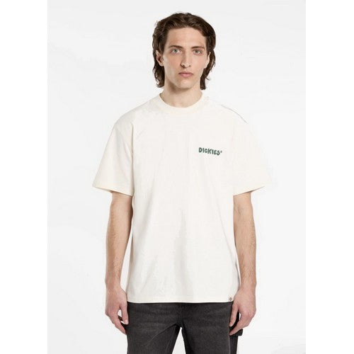 DICKIES TEE SHIRT GORDONSVILLE Beige